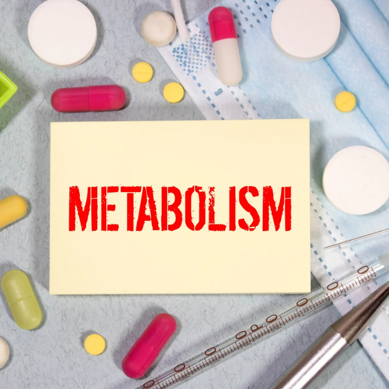 foods that increase metabolism and burn fat